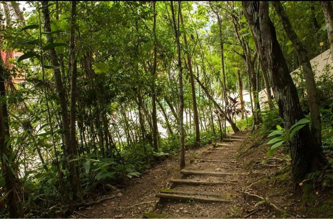 Ape Da Gabi Lägenhet Balneário Camboriú Exteriör bild